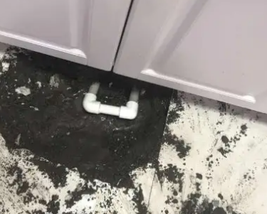龙口查漏水哪家好